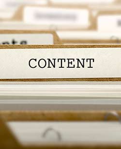 Content of Florida's Premier Wellness Medical Group in Tampa, FL